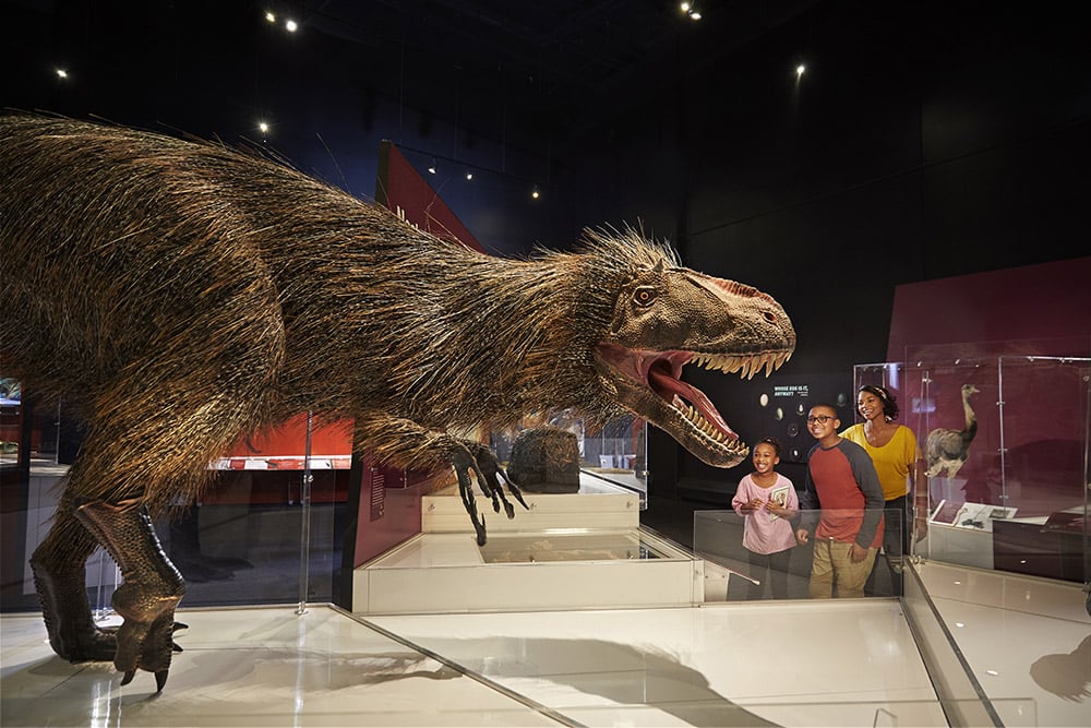 Family looking at realistic looking dinosaur statue at COSI