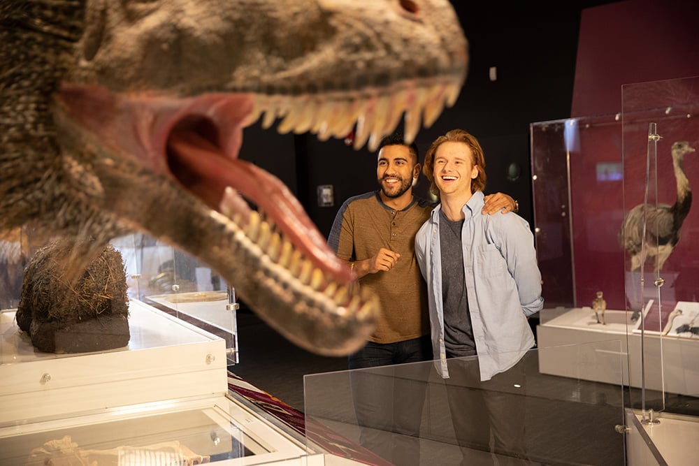 Two men looking at Tyrannosaurus rex statue at COSI