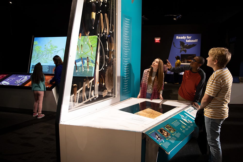 Three tweens checking out an exhibit of modern bird feathers